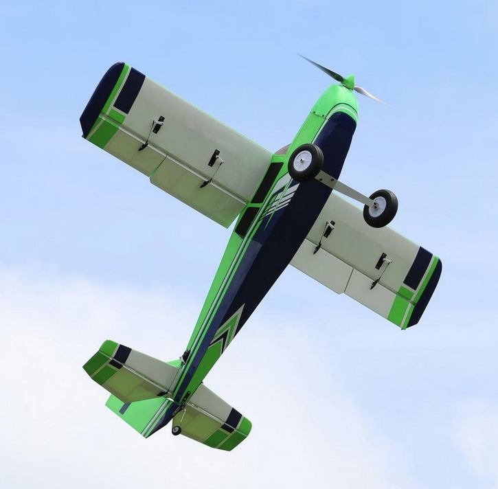 Bighorn Pro 1250mm Vert OMPHOBBY Voltige